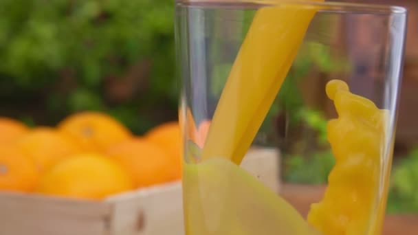 Gegoten in een glas sinaasappelsap — Stockvideo