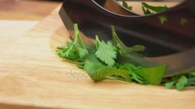 Yeşil maydanoz bir ahşap tahta üzerine dilimlenmiş