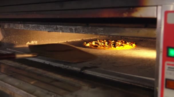 Pizza på en speciell spade kommer från ugnen — Stockvideo