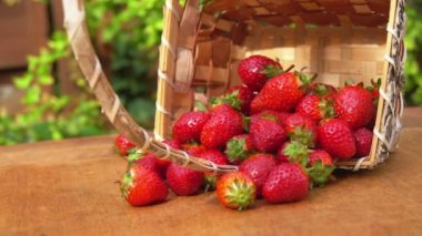 Sepet içinde kırmızı taze çilek