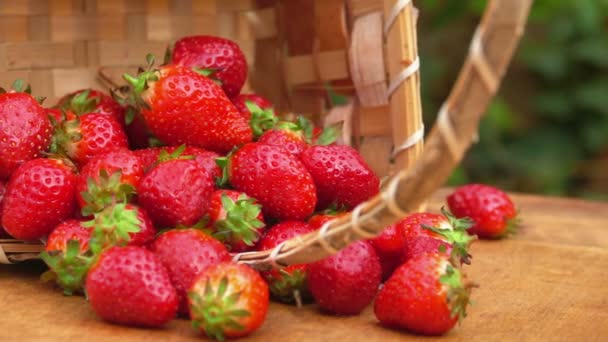 El primer plano de las fresas frescas en la cesta — Vídeo de stock