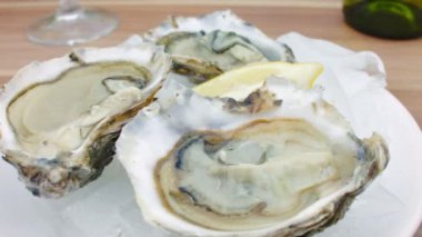 Buzlu limonlu taze istiridye..