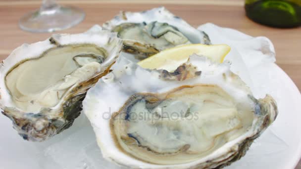 Fresh oysters with lemon on ice. — Stock Video