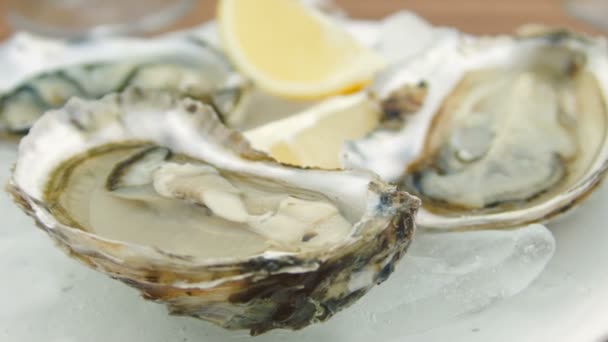 Super close-up de ostras frescas em uma placa branca — Vídeo de Stock