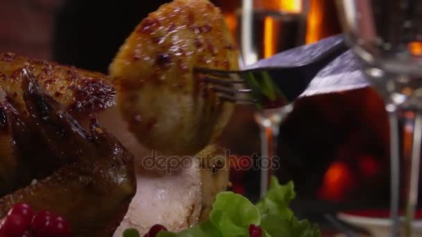 Closeup of a cut piece of chicken near the fireplace — Stock Video