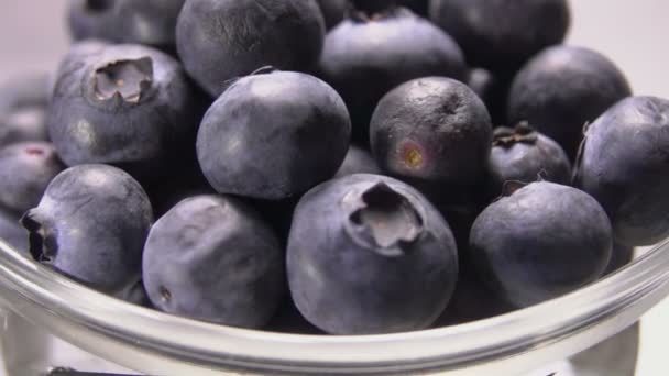 Large blueberries spilling out of a glass bowl — Stock Video