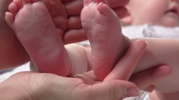 Baby voeten in volwassen handen — Stockvideo