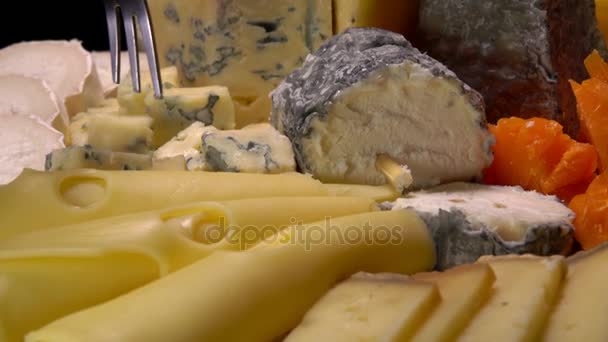 Разнообразие французских сыров — стоковое видео