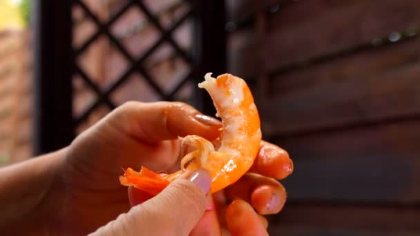 Närbild av orange räkor rensat i kvinnliga händer — Stockvideo