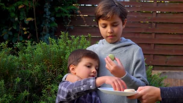 Boys take and eat almond cookies macaroni — Stock Video