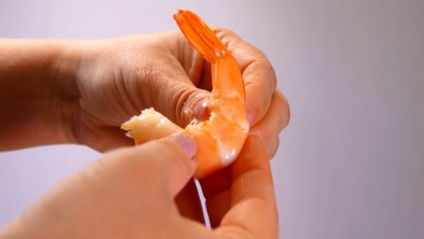 Frauenhände reinigen die fertigen Garnelen in Nahaufnahme — Stockvideo
