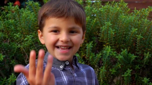Lindo chico cuenta con los dedos hasta diez — Vídeo de stock