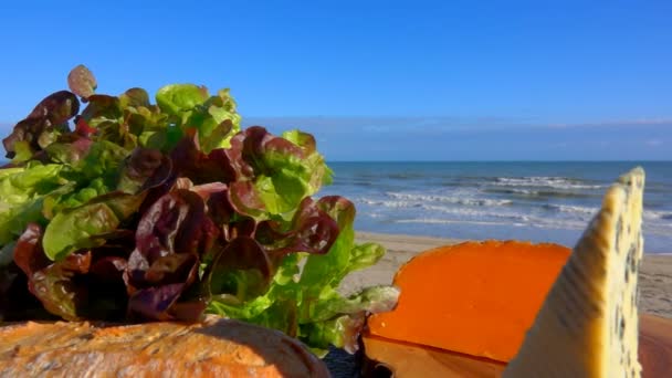 Zátiší z různých druhů sýra, Normandie — Stock video