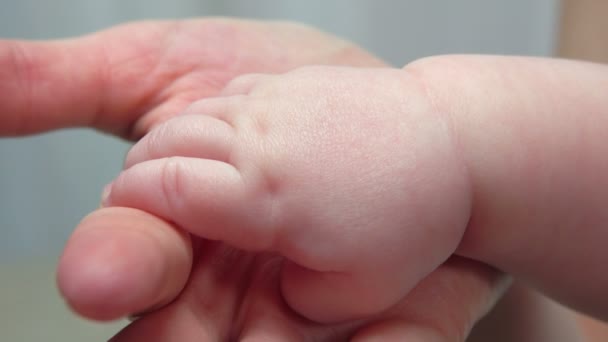 Baby bezit is van de hand van een volwassenen met vingers — Stockvideo