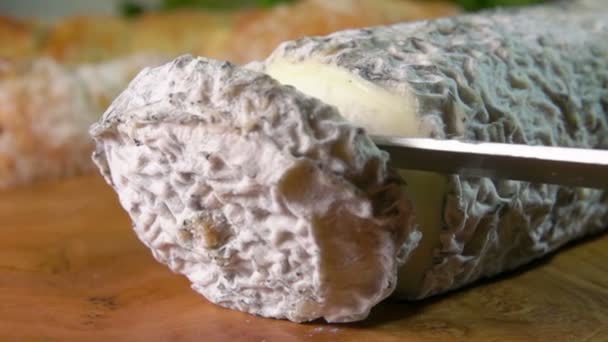 Козячий сир з синьо-сірою формою — стокове відео