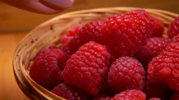 La main cueille une framboise mûre dans des paniers en osier — Video