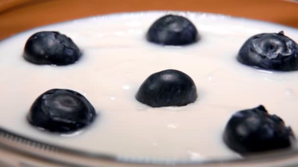 Blueberries falling into a glass bowl with the yogurt — Stock Video