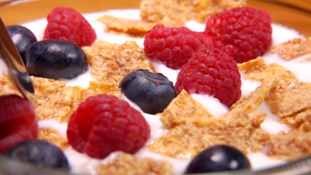 Mix of cereal flakes with berries and yogurt is taken by spoon — Stock Video