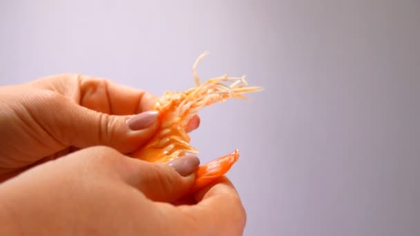 Frauenhände reinigen die fertigen Garnelen in Nahaufnahme — Stockvideo