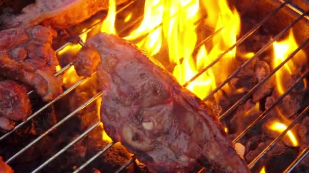 Asado deliciosos filetes de cordero sobre un fuego abierto — Vídeos de Stock