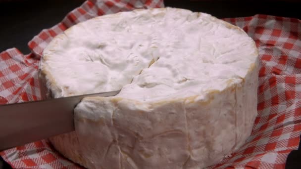 Cuchillo talla un sector de queso Camembert redondo — Vídeo de stock