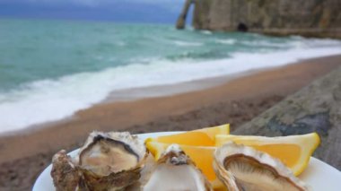 limon taze istiridye