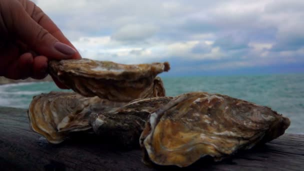 Weibliche Hand nimmt eine Muschel mit einer Auster — Stockvideo