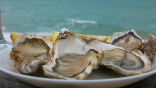 Picknick mit Austern an der Atlantikküste — Stockvideo