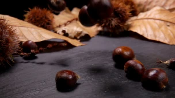 Kastanien fallen auf eine schwarze Steintafel — Stockvideo