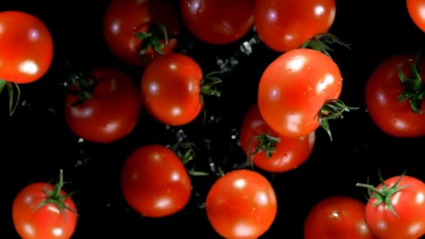 Tomaten vliegt naar de camera op een zwarte achtergrond — Stockvideo