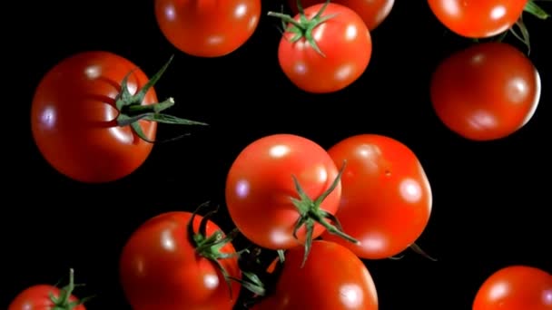 Tomates rebotando contra la cámara — Vídeo de stock