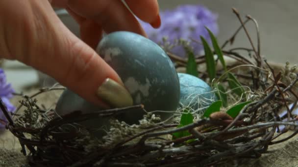 В пасхальном гнезде откладывают естественно окрашенные яйца — стоковое видео