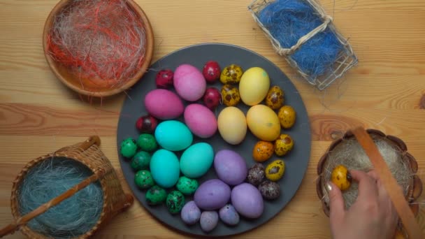 Dames hand neemt geel gekleurde kwartel ei en legde het aan paaseieren — Stockvideo