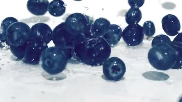 Mirtilos molhados com gotas de água cai sobre a mesa — Vídeo de Stock