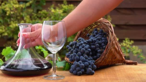 Вино наливают из стеклянного графина в стакан — стоковое видео