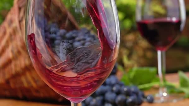 Rotwein aus nächster Nähe wird in ein Glas gegossen — Stockvideo