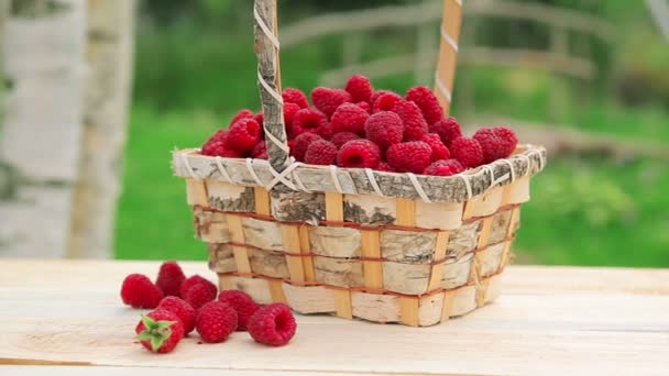 Panorama de una canasta de mimbre con frambuesas rojas maduras — Vídeos de Stock