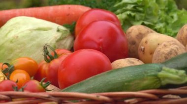 Domates, patates ve soğan ile natürmort