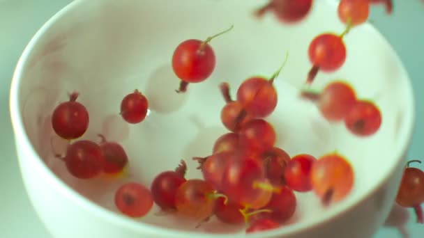 Rijpe bessen kruisbessen vallen in een witte kom — Stockvideo