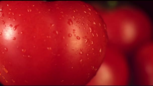 Natte rijpe tomaten. — Stockvideo