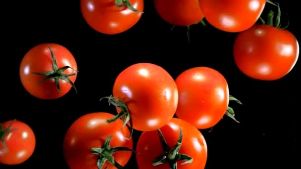 Tomaten stuiteren tegen naar de camera — Stockvideo