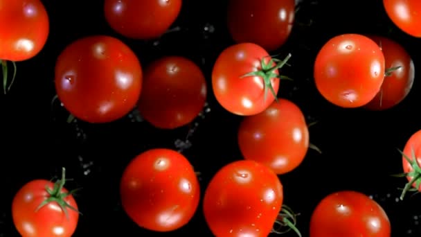 Tomates saltando contra a câmera — Vídeo de Stock