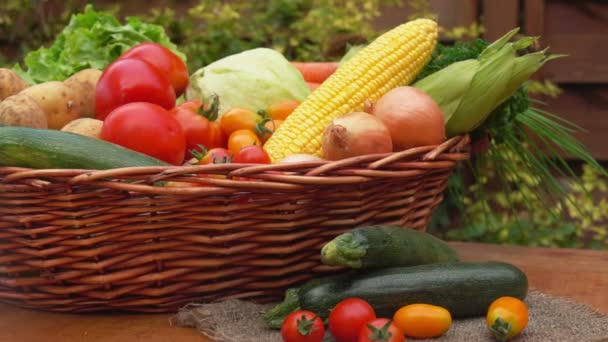Bodegón con verduras y vegetación — Vídeo de stock