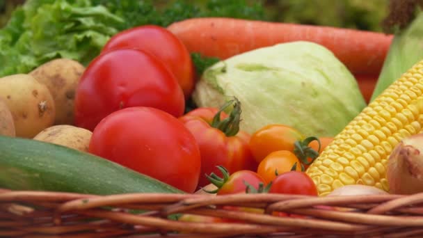 Natureza morta com milho, tomates, batatas e cebolas na cesta — Vídeo de Stock