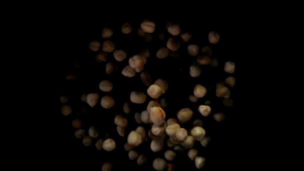 Hasselnötter flyger på en svart bakgrund — Stockvideo