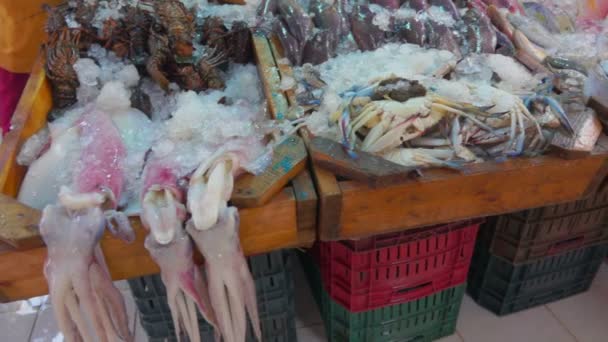 Calamares, cangrejos, langostas y diversas variedades de peces — Vídeo de stock