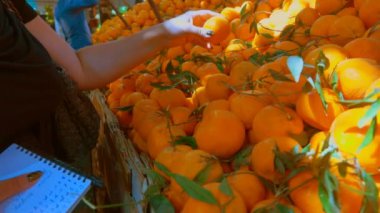 Ev sahibesi olgun sulu mandalina satın alır.