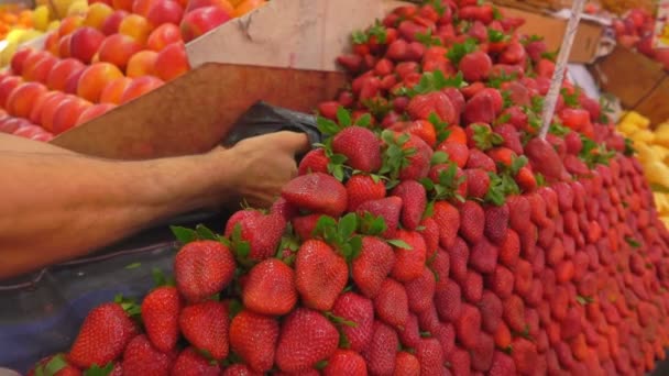 Vendeur met une fraise fraîche dans l'emballage 