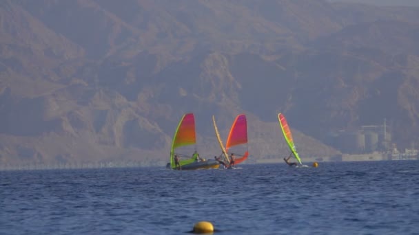 Yaz Rüzgar sörfü dersleri öğretim görevlisi ile denizde bay — Stok video