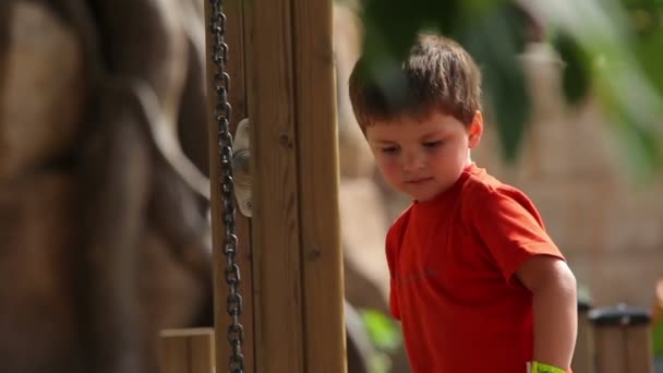 Glücklicher Junge auf Kinderspielplatz — Stockvideo